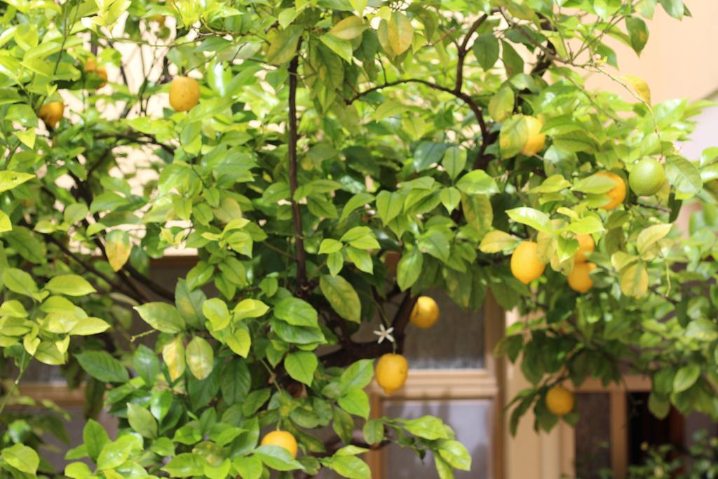 Fiori E Limoni Bed & Breakfast Quartucciu Exterior photo